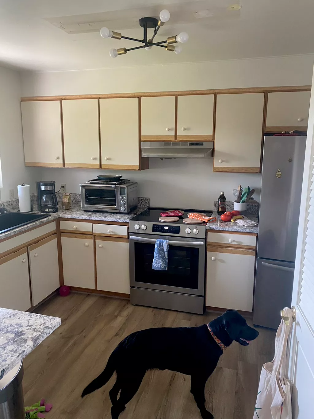 Modern kitchen with cream and wood cabinets, stainless steel appliances, granite countertops, and black dog on hardwood floor